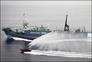 20111107-Sea Shepherd engage.jpg